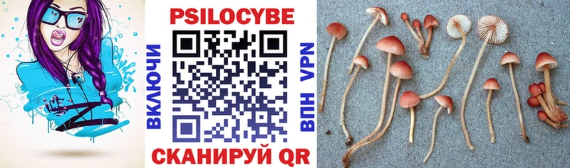 Псилоцибиновые грибы мухоморы  Купить закладки  Динская 